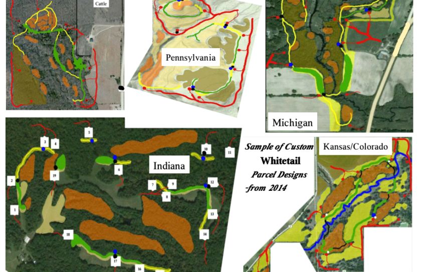 custom whitetail parcel designs