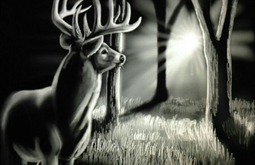 whitetail adventure series