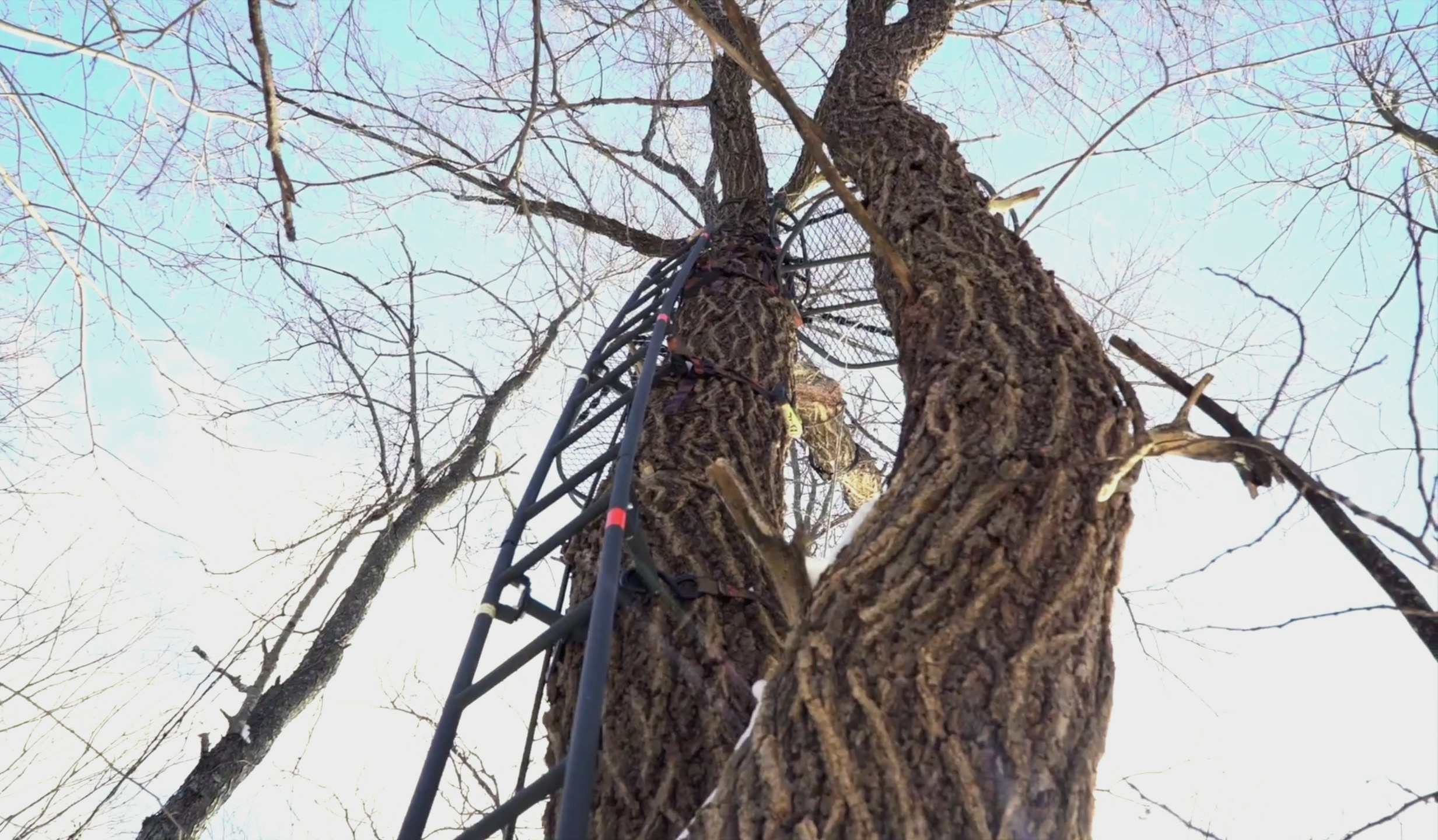 Treestand Setups For High Pressure Hunting Whitetail Habitat