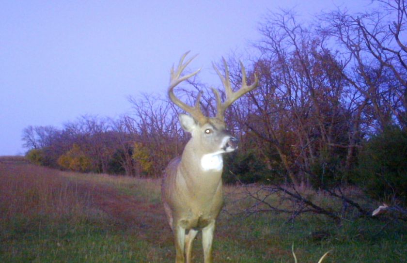 whitetail weather 