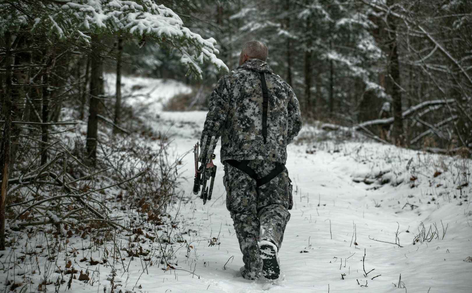 How To Hunt Deer In The Snow Whitetail Habitat Solutions