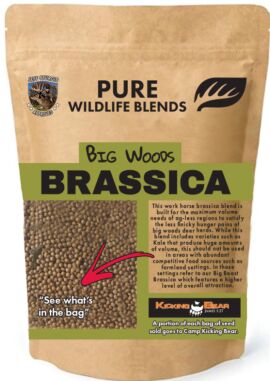 PWB Seed Bag Big Woods